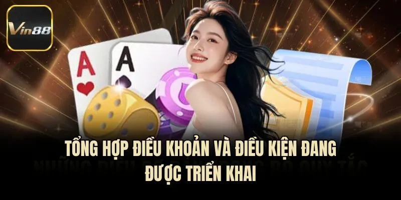 Tổng hợp điều khoản và điều kiện đang được triển khai