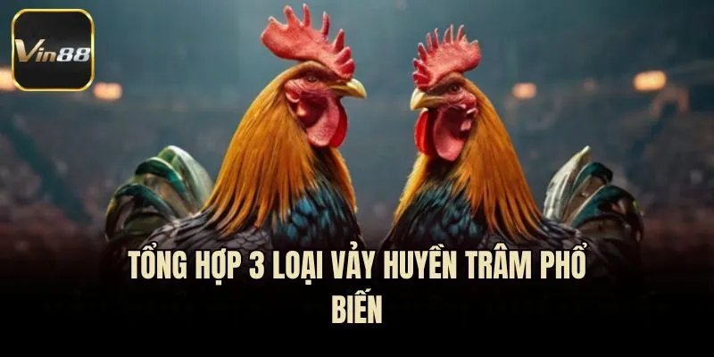 Tổng hợp 3 loại vảy huyền trâm phổ biến